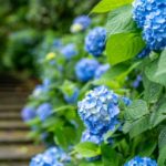 7月スタート